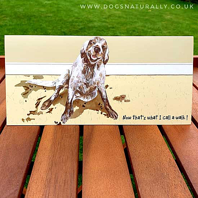 Good Walk Dog Lover Card